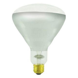 Bulbrite 250W Incandescent Heat Lamp Light Bulb   10 pk. Multicolor   BULB705