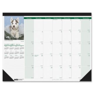 House Of Doolittle Puppies Photographic Monthly Desk Pad Calendar