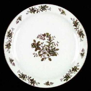 Franconia   Krautheim Helene Dinner Plate, Fine China Dinnerware   Gold Trim, Ri