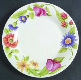 Pfaltzgraff Emma Luncheon Plate, Fine China Dinnerware   Multicolor Floral Rim
