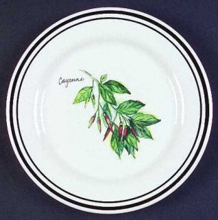 Williams Sonoma Wso24 Salad/Dessert Plate, Fine China Dinnerware   Various Herbs