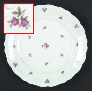 Winterling   Bavaria Rosette Dinner Plate, Fine China Dinnerware   Scattered Pin