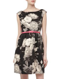Sleeveless Belted Fit and Flare Dress, Black/White