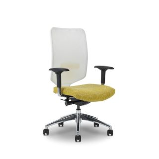 Ergocraft Newair Medium back White Back Task Chair (Green/whiteWeight capacity 250 poundsDimensions 40.4 44.4 inches high x 28 inches wide x 26.5 inches deepSeat dimensions 26 inches wide x 25 inches deepBack size MediumAssembly Required )
