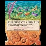 Rise of Animals Evolution and Diversification of the Kingdom Animalia