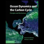 Ocean Dynamics and Carbon Cycle