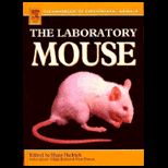 Laboratory Mouse