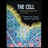 Cell Molecular Approach