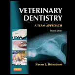 Veterinary Dentistry Team Approach