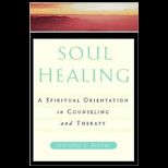 Soul Healing  A Spiritual Orientation in Counseling and Therapy