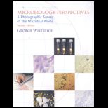 Microbiology Perspectives  A Photographic Survey of the Microbial World