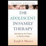 Adolescent in Family Therapy, Second Edition Harnessing the Power of Relationships