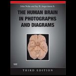 Human Brain in Photographs and Diagrams   With CD