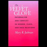 Velvet Glove  Paternalism and Conflict in Gender, Class, and Race Relations