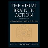 Visual Brain in Action