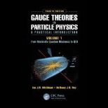 Gauge Theories in Particle Physics, Volume 1