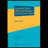 Hyperbolic Partial Differential Equations and Geometric Optics