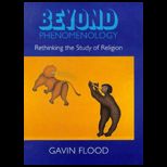 Beyond Phenomenology  Rethinking the Study of Religion