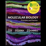 Molecular Biology Principles and Practice (Custom)