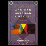 African American Literature  A Brief Introduction and Anthology