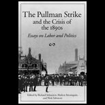 Pullman Strike and the Crisis of the 1890s  Essays on Labor and Politics