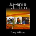 Juvenile Justice  Redeeming Our Children
