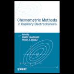 Chemometric Methods in Capillary Electrophoresis