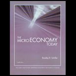 Micro Economy Today (Custom)