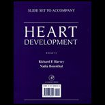 Heart Development Slide Set