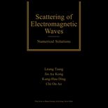 Scattering of Electromagnetic Waves, Numerical Simulations