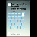 Telecommunications Demand in Theory