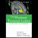 Human Frontal Lobes Functions and Disorders