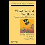 Micro Flows  Fundamentals and Stimulation