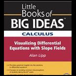 Little Book of Big Ideas Calculus Visualizing Differential Equations with Slope Fields