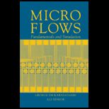 Micro Flows