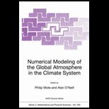 Numerical Modeling of Global