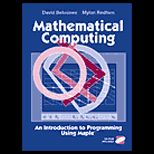 Mathematical Computing  An Introduction to Programming Using Maple   With CD