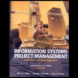 Information Systems Project Management (Custom)