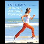 Essentials of Human Anatomy and Physiology