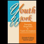 Youth Work  Emerging Perspectives in Youth Development