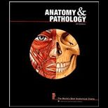 Anatomy and Pathology The Worlds Best Anatomical Charts