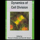 Dynamics of Cell Division
