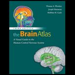 Brain Atlas  A Visual Guide to the Human Central Nervous System
