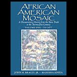 African American Mosaic  A Documentary History from the Slave Trade to the Twenty First Century, Volume One  To 1877