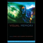 Visual Memory