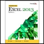 Microsoft Excel 2013, Bench., Level 1 Text Only