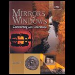Mirrors and Windows Level V