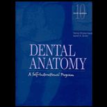 Dental Anatomy  A Self Instructional Program