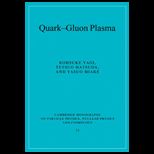 Quark Gluon Plasma