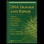 DNA Damage and Repair DNA in Prokaryotes and and and and and and and and